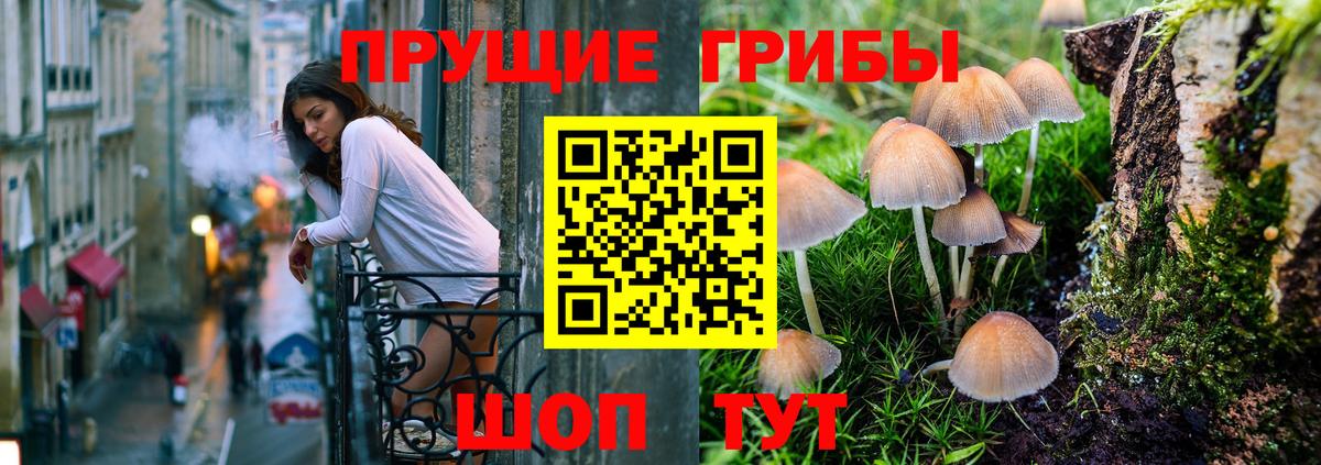 Галлюциногенные грибы прущие грибы Карталы