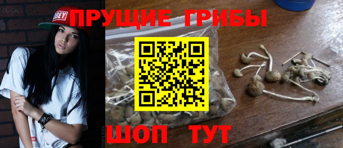Псилоцибиновые грибы Psilocybine cubensis  Вход с VPN  купить наркотик  Карталы 